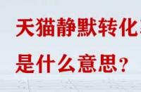 天貓靜默轉化率是什么意思？