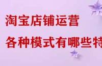 淘寶店鋪運營各種模式有哪些特點？
