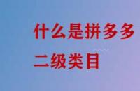 什么是拼多多二級類目？