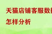 天貓店鋪客服數據怎樣分析？