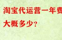 淘寶代運營一年費用大概多少？