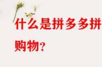 什么是拼多多拼單購物？