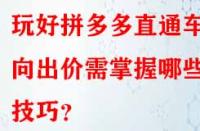 玩好拼多多直通車定向出價需掌握哪些技巧？