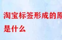 怎樣得到精準流量？淘寶標簽形成的原因是什么？