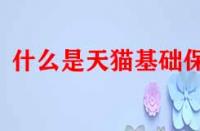 什么是天貓基礎保障？它的作用是什么？