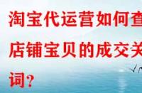 淘寶代運營如何查看店鋪寶貝的成交關鍵詞？