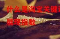 什么是淘寶關鍵詞展現指數？它的作用是什么？