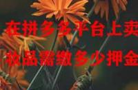 在拼多多平臺上賣化妝品需繳多少押金？