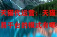 天貓代運營：天貓交易平臺的模式有哪些？