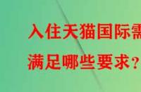 入住天貓國際需滿足哪些要求？