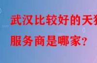 武漢比較好的天貓服務商是哪家？