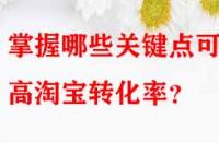 掌握哪些關鍵點可提高淘寶轉化率？