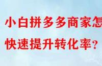 小白拼多多商家怎樣快速提升轉化率？