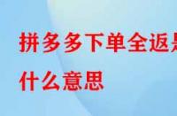 拼多多下單全返是什么意思？具體是如何操作的？