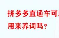 拼多多直通車可以用來養詞嗎？