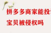 拼多多商家能投訴寶貝被侵權嗎？