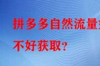 拼多多自然流量好不好獲?。?> 
								</a>
								<a class=