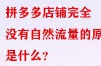 拼多多店鋪完全沒有自然流量的原因是什么？