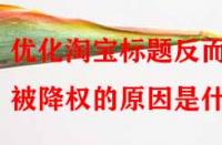 優化淘寶標題反而被降權的原因是什么？