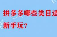 拼多多哪些類目適合新手玩？