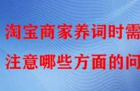 淘寶商家養詞時需注意哪些方面的問題？