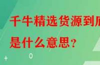 千牛精選貨源到底是什么意思？