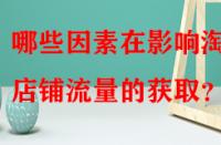 哪些因素在影響淘寶店鋪流量的獲?。?> 
								</a>
								<a class=