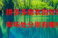 拼多多助農的好處和壞處分別有哪些？