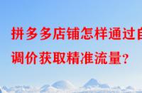 拼多多店鋪怎樣通過自動調價獲取精準流量？