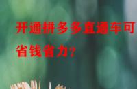 開通拼多多直通車可更省錢省力？