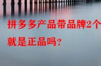 拼多多產品帶品牌2個字就是正品嗎？