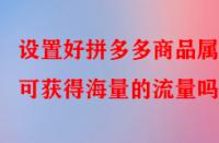 設置好拼多多商品屬性可獲得海量的流量嗎？