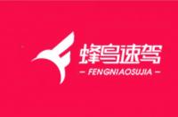 電商好拍檔：攜手“蜂鳥速駕”，輕松打造“明星”網店